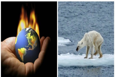 Trái Đất đang ở trong tình trạng khẩn cấp về khí hậu