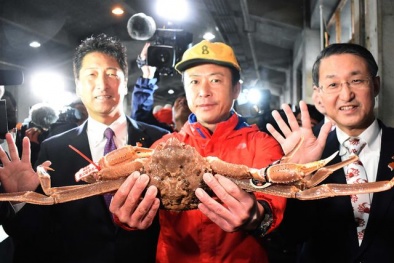 Một con cua tuyết vừa được bán giá hơn 1 tỷ đồng