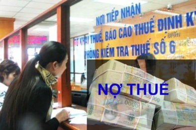 441 doanh nghiệp bị ‘bêu tên’ vì nợ xấu, đứng đầu là BĐS Thăng Long 