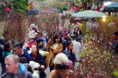 Bảo đảm cung cầu hàng hóa dịp Tết Nguyên Đán 2020