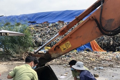 Phát hiện xe vận chuyển lợn hơi không rõ nguồn gốc, không có giấy kiểm dịch