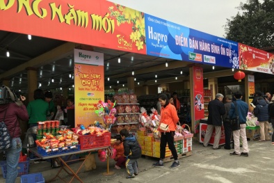 Hapro dự trữ lượng hàng hóa 768 tỷ đồng phục vụ dịp Tết Canh Tý 2020