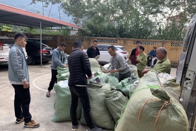 Bị thu giữ toàn bộ hàng hóa trị giá 59 triệu đồng do vận chuyển bất hợp pháp