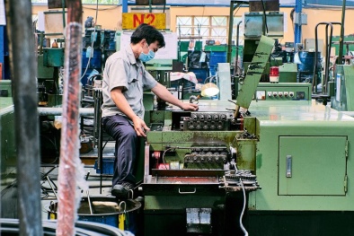 Phát huy vai trò tiên phong của doanh nghiệp lớn trong chuỗi cung ứng xanh