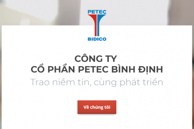 Tổng giám đốc Công ty Petec Bình Định bị xử phạt do báo cáo không đúng thời hạn
