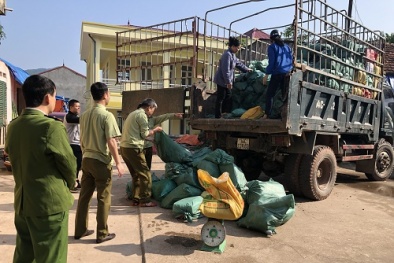 Chặn đứng hành vi xuất lậu lượng lớn chân lợn, lòng lợn qua biên giới