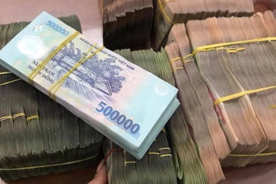 Chuyên gia ADB: Hết quý III, Việt Nam có 55,1 tỉ USD trái phiếu lưu hành