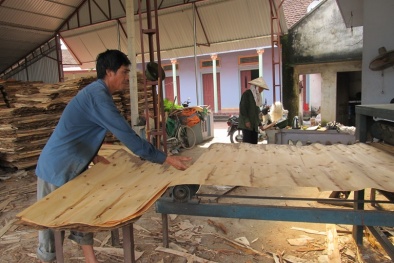 Gian lận xuất xứ hàng hóa: Gỗ dán lọt 'tầm ngắm'