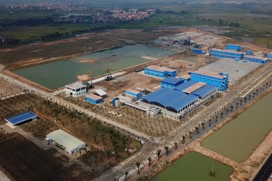 AquaOne của Shark Liên đem gần hết cổ phần thế chấp huy động vốn 