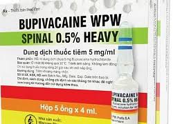 Thay thế thuốc Bupivacaine sau khi có 2 trường hợp tử vong