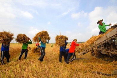 Nhiều mặt hàng đạt xuất khẩu trên 1 tỷ USD, nông nghiệp thắng lớn