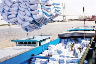 Bộ NN&PTNT: Xuất khẩu gạo dự báo khó khăn trong thời gian tới
