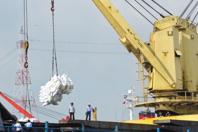 Năm 2019 - Năm xuất siêu thứ 4 liên tiếp của Việt Nam