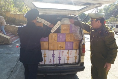 1.800 chai sữa chua không có hóa đơn nhập khẩu hợp pháp bị thu giữ