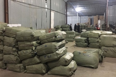 Vụ 1.000 tấn dược liệu nhập lậu: Vì sao khó kiểm soát chất lượng dược liệu?