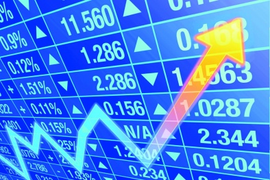 Cổ đông lớn của Công ty cổ phần ASA bị xử phạt do dính nhiều vi phạm