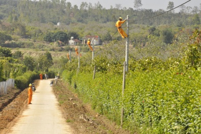 Điện lực Đắk Lắk giảm áp lực cho hệ thống điện nhờ điều chỉnh phụ tải