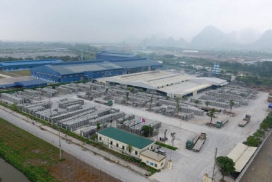 Vì sao Khang Minh Group bị xử phạt trên 250 triệu đồng?
