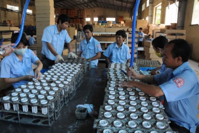 Hà Nội - Thúc đẩy sản xuất và tiêu dùng bền vững