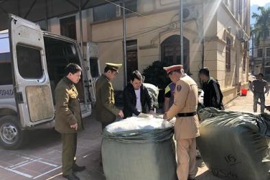 Nhập lậu gần 2.000 lọ sơn móng tay do Trung Quốc sản xuất 