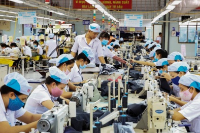 Tận dụng chuyển đổi số như một cơ hội để tồn tại và nâng cao năng lực cạnh tranh