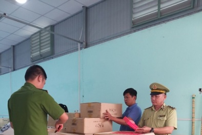 Phát hiện kho mỹ phẩm nhập lậu 'khổng lồ' trong xưởng may mặc