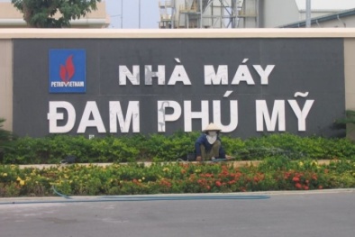 Đạm Phú Mỹ kỳ vọng lợi nhuận năm 2020 là 513 tỷ đồng
