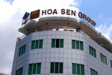 Doanh thu Tập đoàn Hoa Sen vẫn dậm chân tại chỗ dù vay nợ giảm 