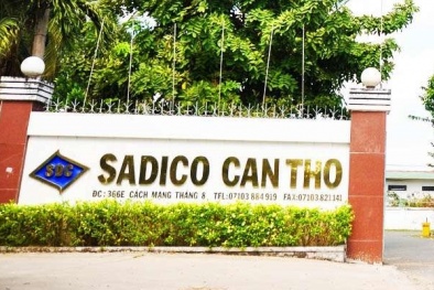Nữ cổ đông lớn Công ty cổ phần Sadico Cần Thơ bị xử phạt 