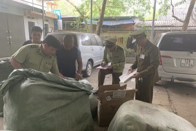 Nhập lậu giầy giả da nữ do Trung Quốc sản xuất bị 'tóm gọn'