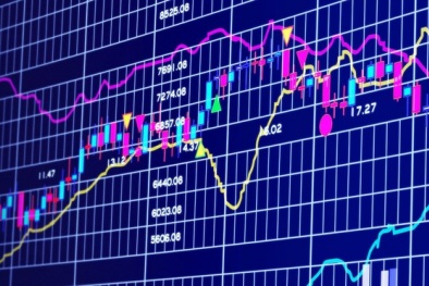 Phạt hai nữ cổ đông lớn Công ty cổ phần Xây dựng 1369 