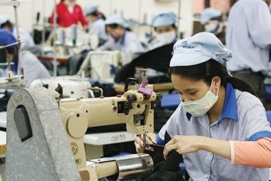 Vì sao dệt may Thành Công phải nộp phạt 2,3 tỷ đồng?