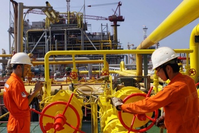 Dầu thô, ô tô góp 46.080 tỷ đồng vào ngân sách trong 11 tháng năm 2019 