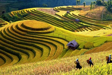 Khởi nghiệp du lịch thời 4.0: Cơ hội nào cho startup bứt phá?