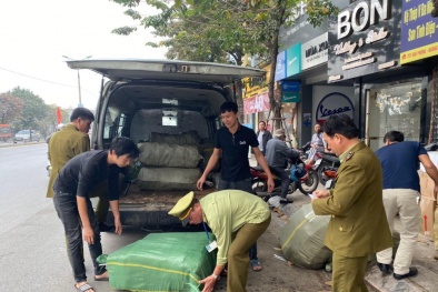 Thu giữ lượng lớn thịt lợn không rõ nguồn gốc tại Hà Nội