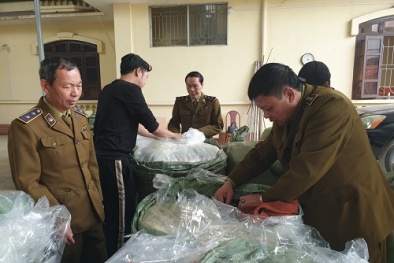 Mua trôi nổi gần 700 loại mỹ phẩm về Bắc Giang bán kiếm lời 