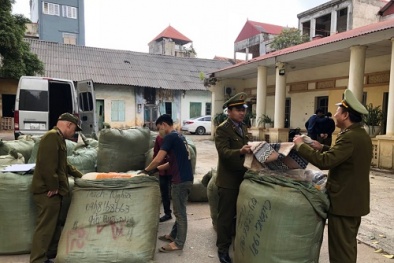 Nhiều hàng hóa vi phạm về nguồn gốc nhập khẩu bị thu giữ