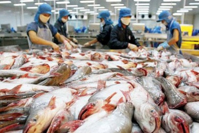Xuất khẩu cá tra sẽ đạt 2,3 tỷ USD