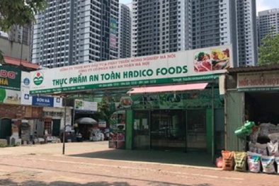 Vì sao 'Con cưng' Hadico của TP.Hà Nội nợ thuế, kinh doanh bết bát?