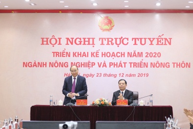 Thủ tướng: Phải xử lý ai ghìm giá và không chịu xuất heo bán