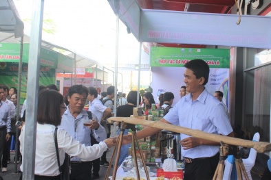 Kết nối cung cầu, tạo đầu ra ổn định cho nông sản tỉnh Tây Ninh 