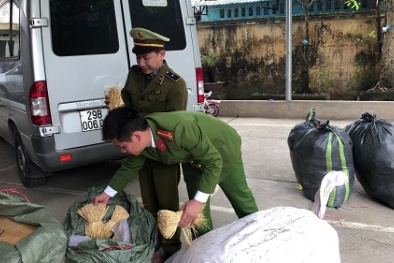 Mua trôi nổi gần 500kg thuốc bắc không rõ nguồn gốc xuất xứ về Hà Nội tiêu thụ