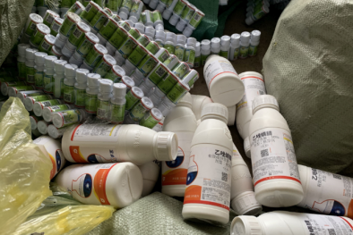 Nhập lậu hơn 3000 ống thuốc thúc chín hoa quả nhãn hiệu ETHREL 