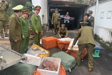 Vận chuyển lậu lòng lợn, chân giò bị chặn đứng tại Bắc Giang