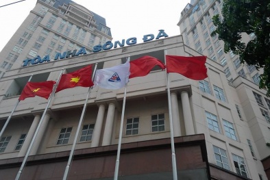 Nợ 11.000 tỷ, Tổng công ty Sông Đà bị Bộ Tài chính cảnh báo