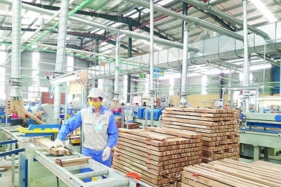 Năm 2020: Xuất khẩu gỗ dự kiến tăng trưởng 18% - 20%