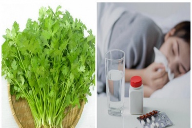 Lưu ý khi ăn rau mùi để tốt nhất cho sức khỏe