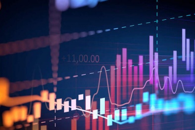 Các cổ phiếu và những ngành được nhà đầu tư yêu thích trong năm qua, dự đoán 2020