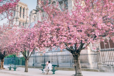 Khám phá nước Pháp với chương trình ưu đãi giảm tới 6 triệu đồng