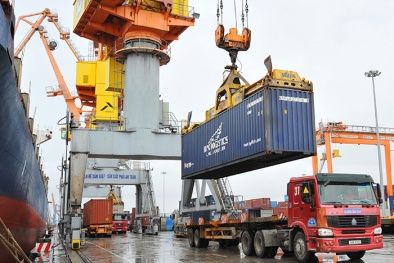 Năm 2020: Việt Nam cần quan tâm hơn tới quy định xuất xứ hàng hóa 